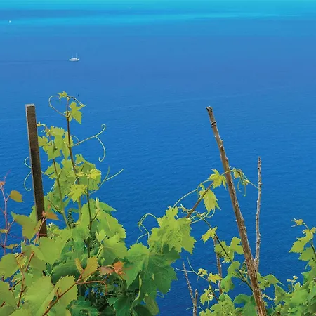 Hébergement de vacances Stunning In With Wifi *